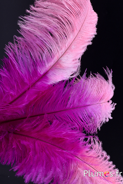 Autruche - 30-40 cm - fuchsia-rose